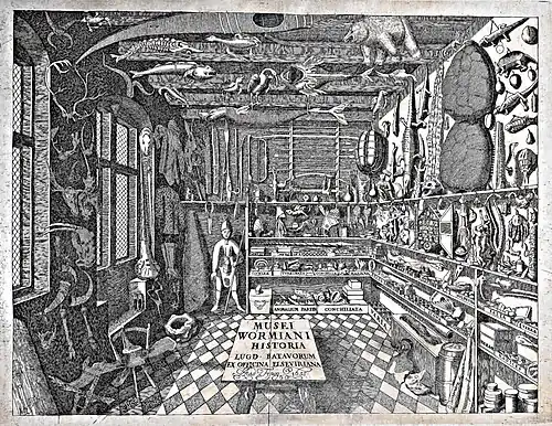 "Musei Wormiani Historia", the frontispiece from the Museum Wormianum depicting Wormius' cabinet of curiosities