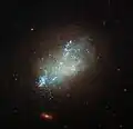 IC 559 is classified as a type Sm galaxy.[21]