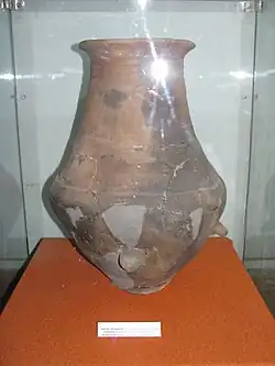 Offering pot from a Scythian grave
