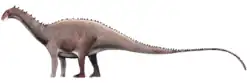 Life restoration