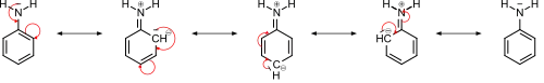 The amino group can donate electron density through resonance.