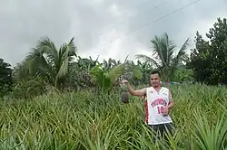 At Bantyan, Pualas