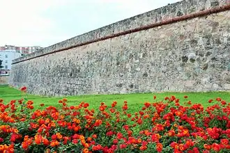 Western curtain wall