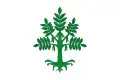 Flag of Flix