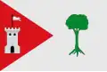 Flag of Pinet