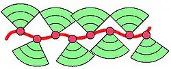 cartoon representation of a dendronized polymer