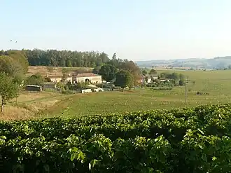 A general view of Bessac