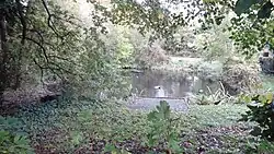 Burnt Ash Pond