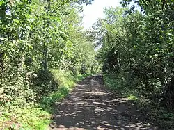 Burtonhole Lane
