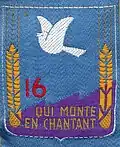 Insignia of CJF 16 (first model).