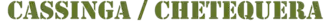 Computer simulation of Battle Honour