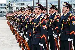 The Honour guards of President of Slovakia with the coat of arms in uniforms