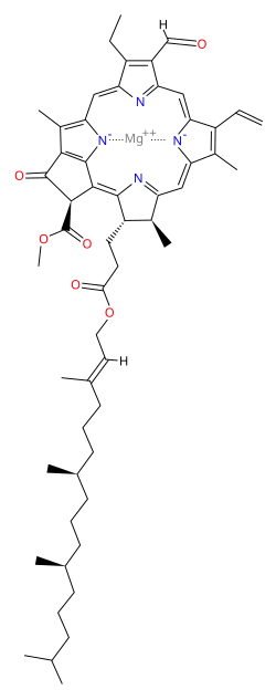chlorophyll b