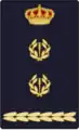 Spanish National Police