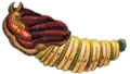 Illustrated pupa