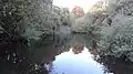 Pond in Cranham Brickfields