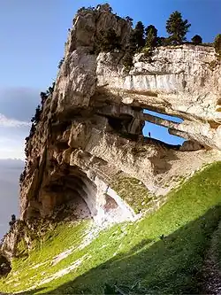 The double arch
