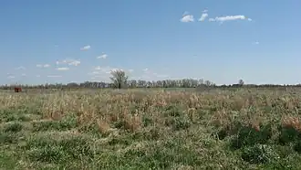 Eaker site