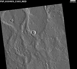 Enipeus Vallis in the Arcadia quadrangle, as seen by HiRISE. Scale bar is 500 meters long.