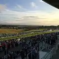 Image 42Epsom Downs, a racecourse which hosts The Derby annually. One of four in the county. (from Portal:Surrey/Selected pictures)