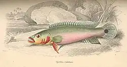 Print from 1860