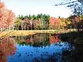 Fall on Marsh Island