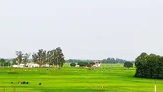 Farms in Usia