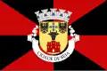 Flag of City of Beja