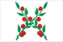 Flag of Chaplygin