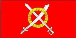 Flag of Chavusy