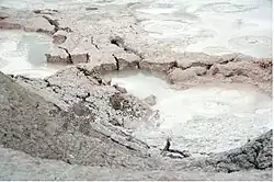 Two large paintpots