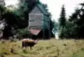 Sheep and the gatehouse