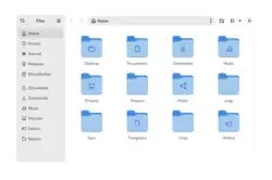Files
