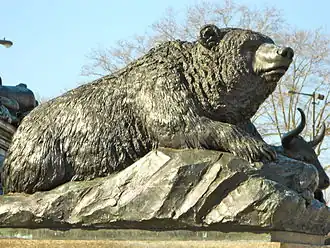 Bear