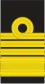Teniente General (Colombian Naval Infantry)