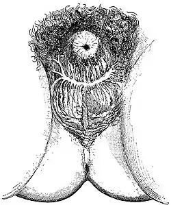 Red cartouche