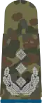 bright-grey emblem on 5-color-flecktarn – Heer (Colonel Supply corps)