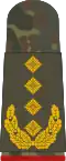 Aufschiebeschlaufe Feldanzug Heeresuniformträger General