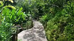 One of the pathways at the gardens.