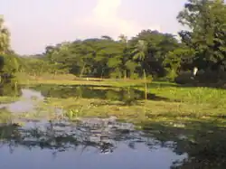 Hatashe Channel