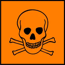 Skull and crossbones