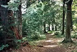 Hidden Lakes Trail in the forest, about 10 miles (16&nbsp;km) east of Eagle River