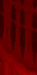 The structure of the Burning Ship fractal