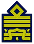 Shoulder insignia of a generale di squadra aerea.