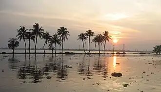 Vembanad Kayal