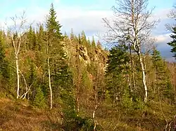 Kvitbergan