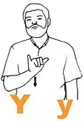 Y