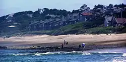 Lincoln Beach, Oregon - beach homes and beachcombers
