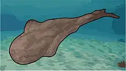 {{{image-alt}}}