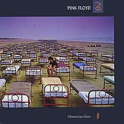 A line of hospital beds stretch into the distance on an overcast beach. A man sits on one bed holding a mirror. The sky is slightly purple.
